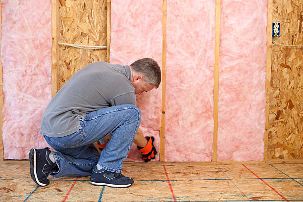 Best Wall Insulation Installation  in Melrose Park, NY